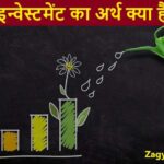 Investment Meaning In Hindi