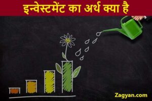 Investment Meaning In Hindi